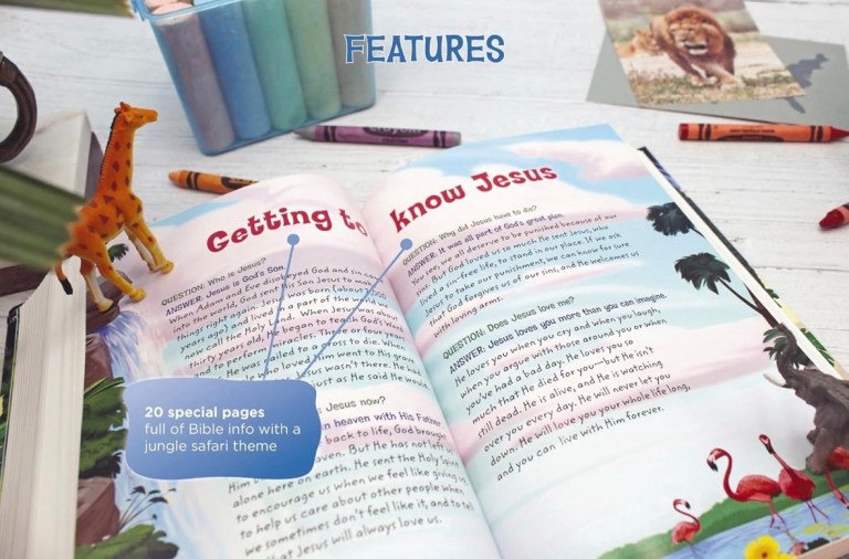 Best Bibles for Kids by Age + Bible for Christian